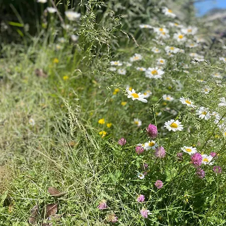 Le Brespail - Station Le Mourtis * Boutx
